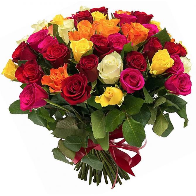Фото Жёлтые тюльпаны – не вестники разлуки: что на самом деле означают цветы к 8 Марта 14